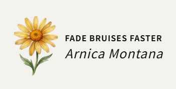 Arnica Montana